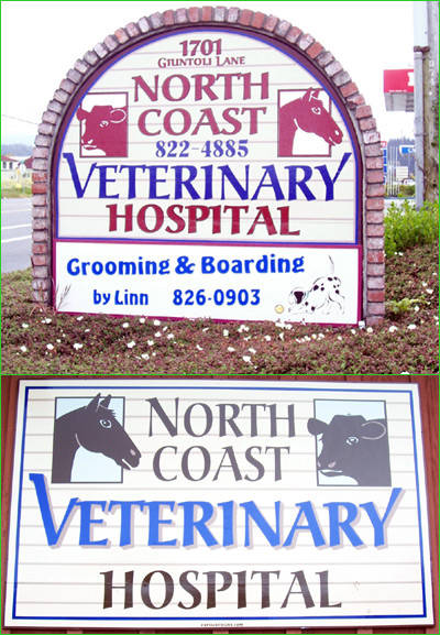 Vet Hospital