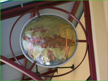 Murphys Market, Arcata CA